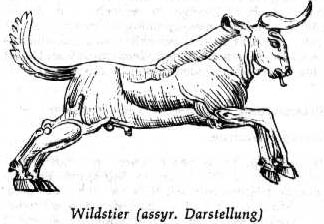 Wildstier assyr. Darstellung