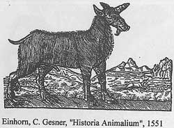 Einhorn - C. Gesner 1551